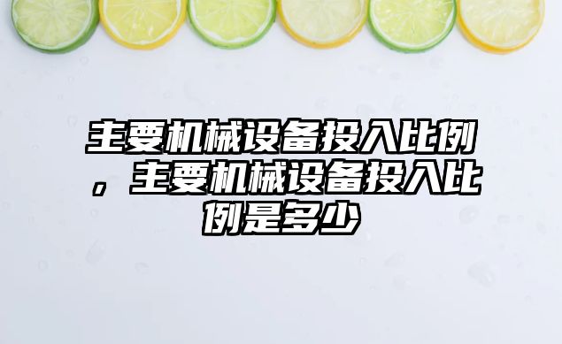 主要機械設備投入比例，主要機械設備投入比例是多少