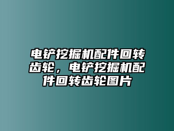 電鏟挖掘機配件回轉(zhuǎn)齒輪，電鏟挖掘機配件回轉(zhuǎn)齒輪圖片