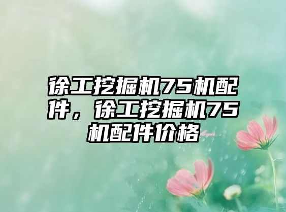 徐工挖掘機75機配件，徐工挖掘機75機配件價格