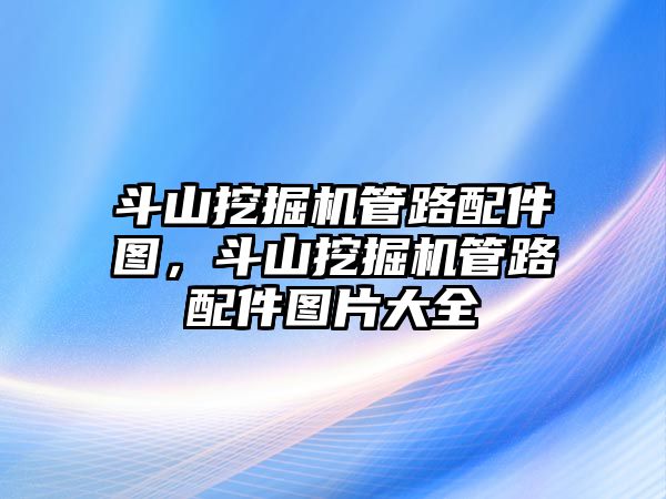 斗山挖掘機管路配件圖，斗山挖掘機管路配件圖片大全