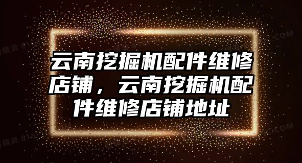 云南挖掘機配件維修店鋪，云南挖掘機配件維修店鋪地址