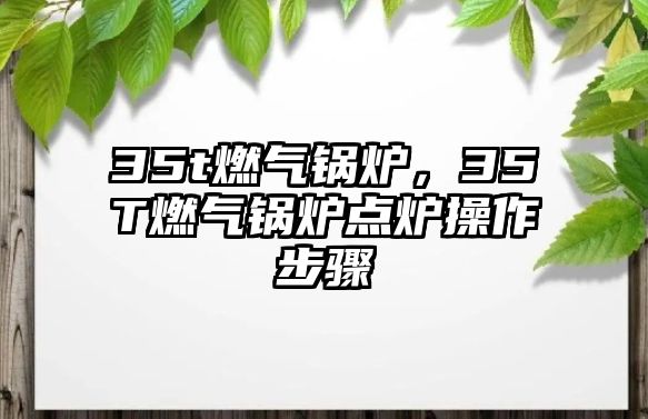 35t燃?xì)忮仩t，35T燃?xì)忮仩t點(diǎn)爐操作步驟