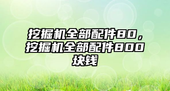 挖掘機全部配件80，挖掘機全部配件800塊錢