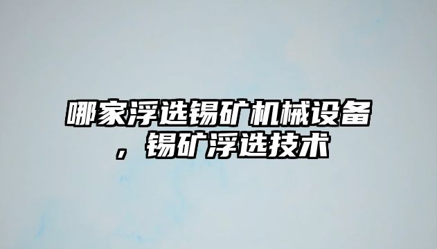 哪家浮選錫礦機械設備，錫礦浮選技術