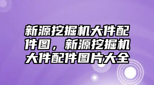 新源挖掘機(jī)大件配件圖，新源挖掘機(jī)大件配件圖片大全