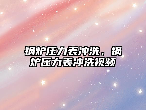 鍋爐壓力表沖洗，鍋爐壓力表沖洗視頻