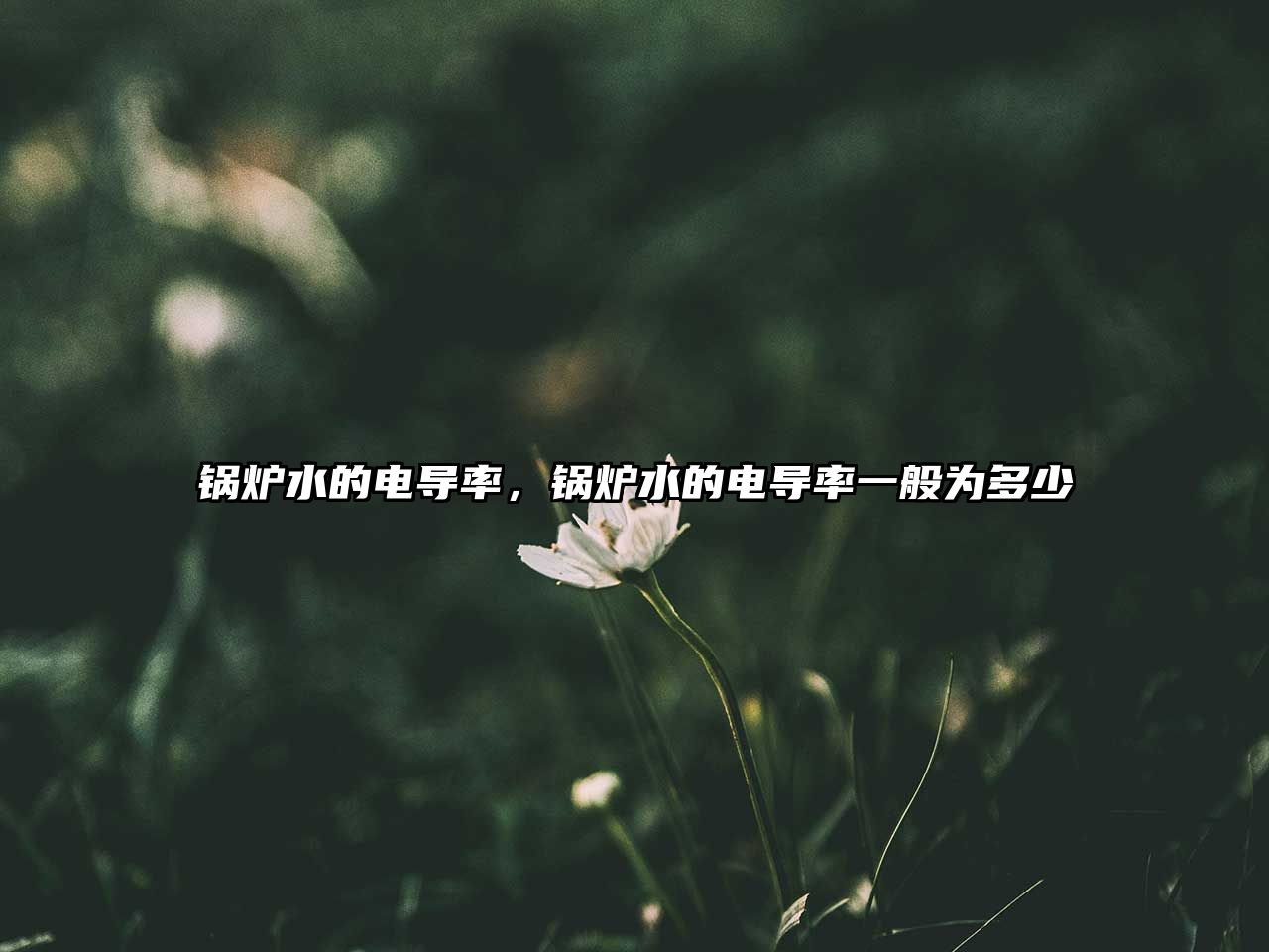 鍋爐水的電導(dǎo)率，鍋爐水的電導(dǎo)率一般為多少