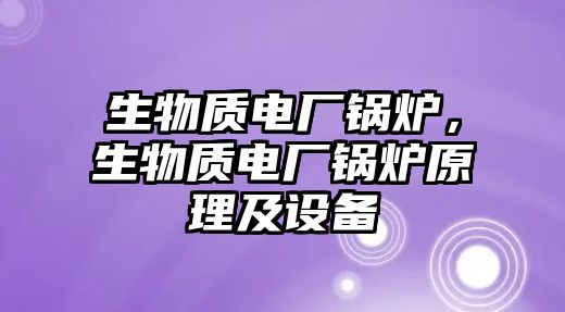 生物質(zhì)電廠鍋爐，生物質(zhì)電廠鍋爐原理及設備