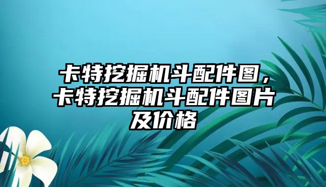 卡特挖掘機(jī)斗配件圖，卡特挖掘機(jī)斗配件圖片及價格