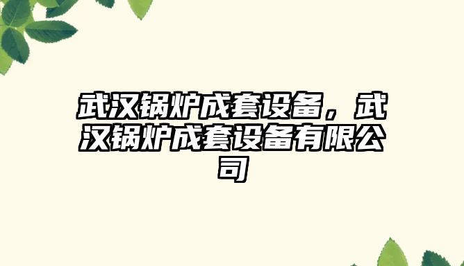 武漢鍋爐成套設(shè)備，武漢鍋爐成套設(shè)備有限公司