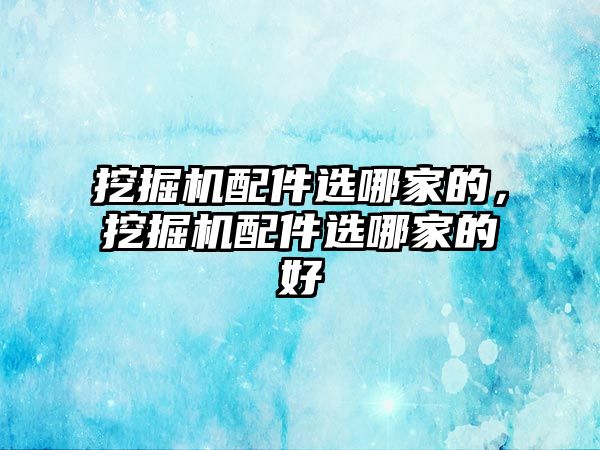 挖掘機(jī)配件選哪家的，挖掘機(jī)配件選哪家的好