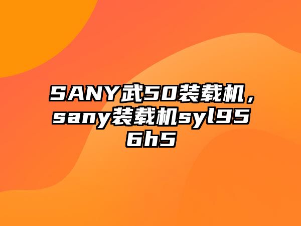 SANY武50裝載機(jī)，sany裝載機(jī)syl956h5