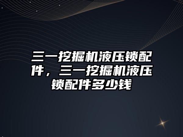 三一挖掘機液壓鎖配件，三一挖掘機液壓鎖配件多少錢