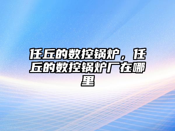 任丘的數(shù)控鍋爐，任丘的數(shù)控鍋爐廠在哪里