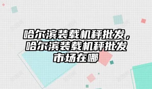 哈爾濱裝載機(jī)秤批發(fā)，哈爾濱裝載機(jī)秤批發(fā)市場(chǎng)在哪