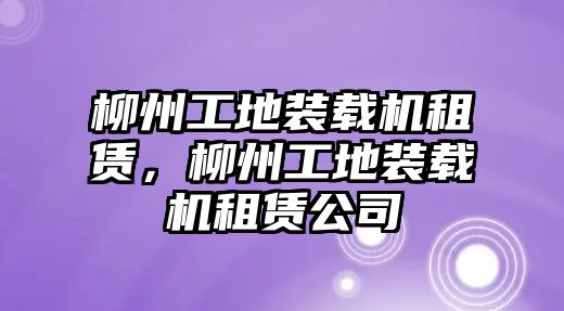 柳州工地裝載機租賃，柳州工地裝載機租賃公司