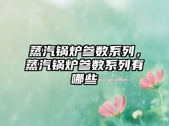 蒸汽鍋爐參數(shù)系列，蒸汽鍋爐參數(shù)系列有哪些