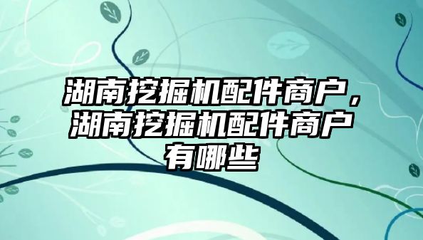 湖南挖掘機配件商戶，湖南挖掘機配件商戶有哪些