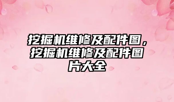 挖掘機維修及配件圖，挖掘機維修及配件圖片大全