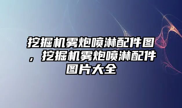 挖掘機霧炮噴淋配件圖，挖掘機霧炮噴淋配件圖片大全