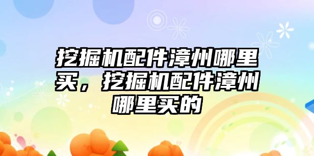 挖掘機配件漳州哪里買，挖掘機配件漳州哪里買的