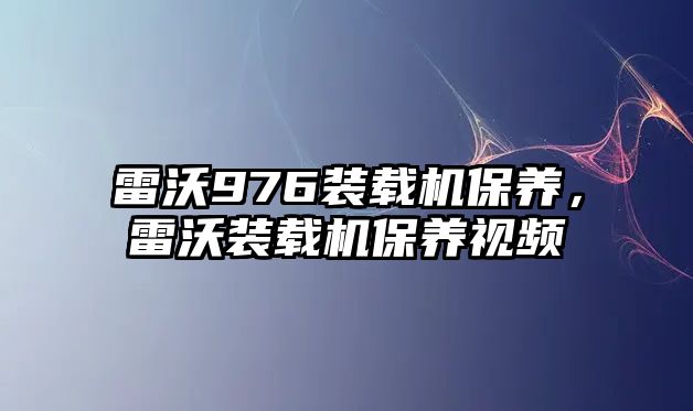 雷沃976裝載機保養(yǎng)，雷沃裝載機保養(yǎng)視頻