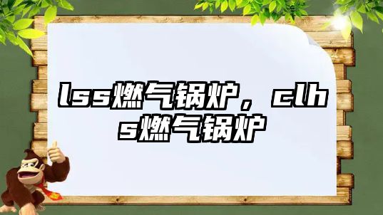 lss燃?xì)忮仩t，clhs燃?xì)忮仩t