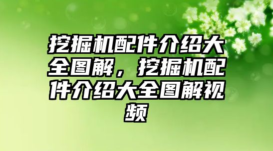 挖掘機配件介紹大全圖解，挖掘機配件介紹大全圖解視頻