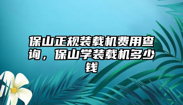 保山正規(guī)裝載機費用查詢，保山學(xué)裝載機多少錢