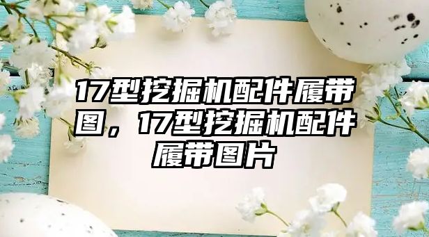 17型挖掘機配件履帶圖，17型挖掘機配件履帶圖片