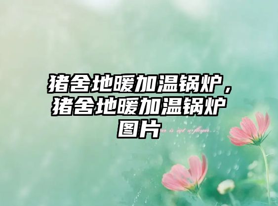 豬舍地暖加溫鍋爐，豬舍地暖加溫鍋爐圖片