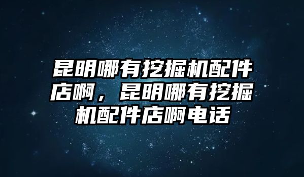 昆明哪有挖掘機(jī)配件店啊，昆明哪有挖掘機(jī)配件店啊電話(huà)