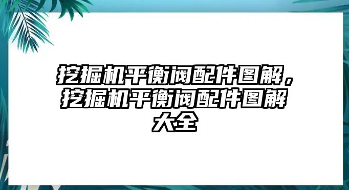 挖掘機(jī)平衡閥配件圖解，挖掘機(jī)平衡閥配件圖解大全