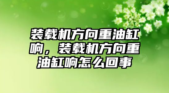 裝載機(jī)方向重油缸響，裝載機(jī)方向重油缸響怎么回事