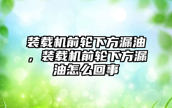 裝載機(jī)前輪下方漏油，裝載機(jī)前輪下方漏油怎么回事