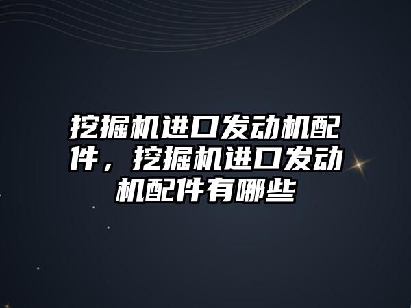 挖掘機進口發(fā)動機配件，挖掘機進口發(fā)動機配件有哪些