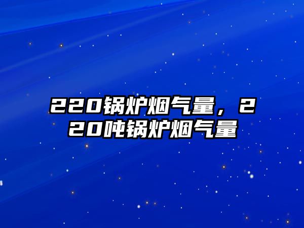 220鍋爐煙氣量，220噸鍋爐煙氣量