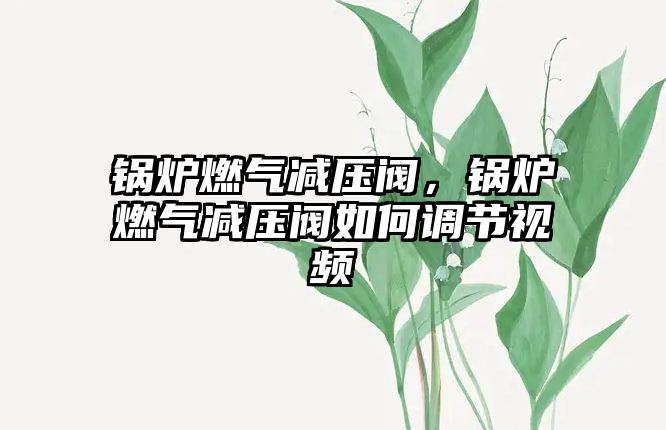 鍋爐燃?xì)鉁p壓閥，鍋爐燃?xì)鉁p壓閥如何調(diào)節(jié)視頻