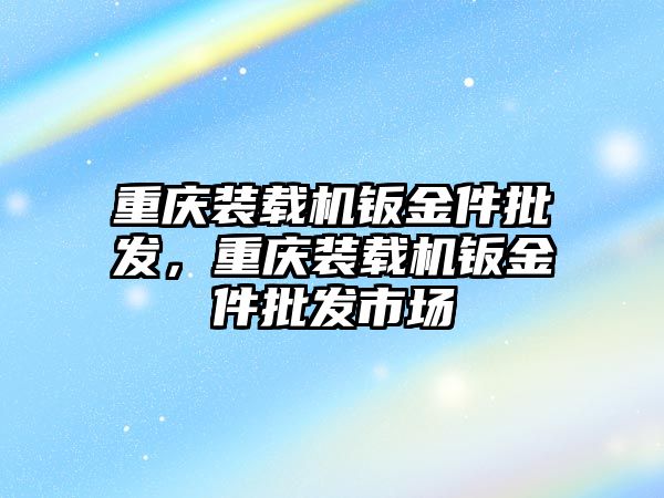 重慶裝載機鈑金件批發(fā)，重慶裝載機鈑金件批發(fā)市場