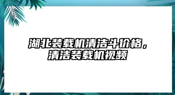 湖北裝載機(jī)清潔斗價格，清潔裝載機(jī)視頻