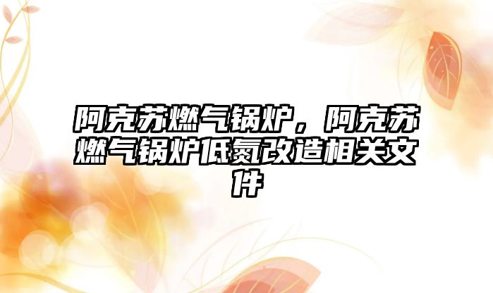 阿克蘇燃?xì)忮仩t，阿克蘇燃?xì)忮仩t低氮改造相關(guān)文件