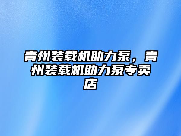 青州裝載機助力泵，青州裝載機助力泵專賣店