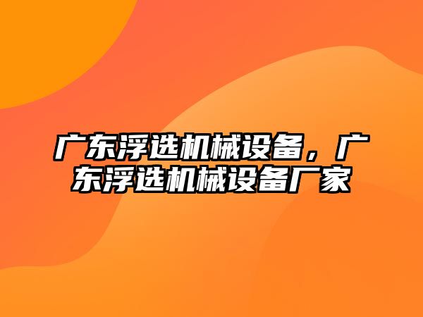 廣東浮選機械設備，廣東浮選機械設備廠家