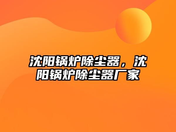 沈陽(yáng)鍋爐除塵器，沈陽(yáng)鍋爐除塵器廠家