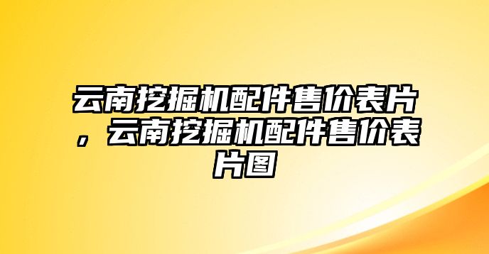 云南挖掘機(jī)配件售價(jià)表片，云南挖掘機(jī)配件售價(jià)表片圖