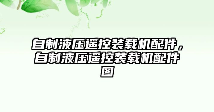 自制液壓遙控裝載機(jī)配件，自制液壓遙控裝載機(jī)配件圖