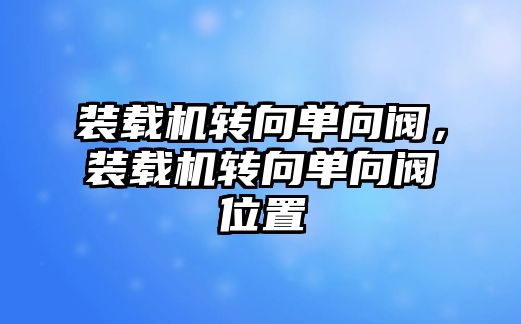 裝載機轉(zhuǎn)向單向閥，裝載機轉(zhuǎn)向單向閥位置