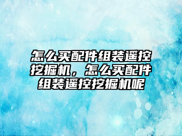 怎么買配件組裝遙控挖掘機，怎么買配件組裝遙控挖掘機呢