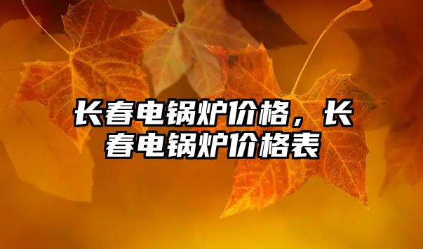 長春電鍋爐價格，長春電鍋爐價格表