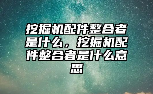 挖掘機配件整合者是什么，挖掘機配件整合者是什么意思